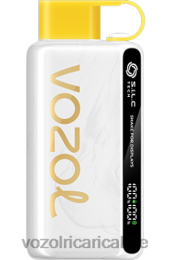 VOZOL Vape Nicotina - VOZOL STAR 9000/12000 kiwi frutto della passione guava 8TN2V25